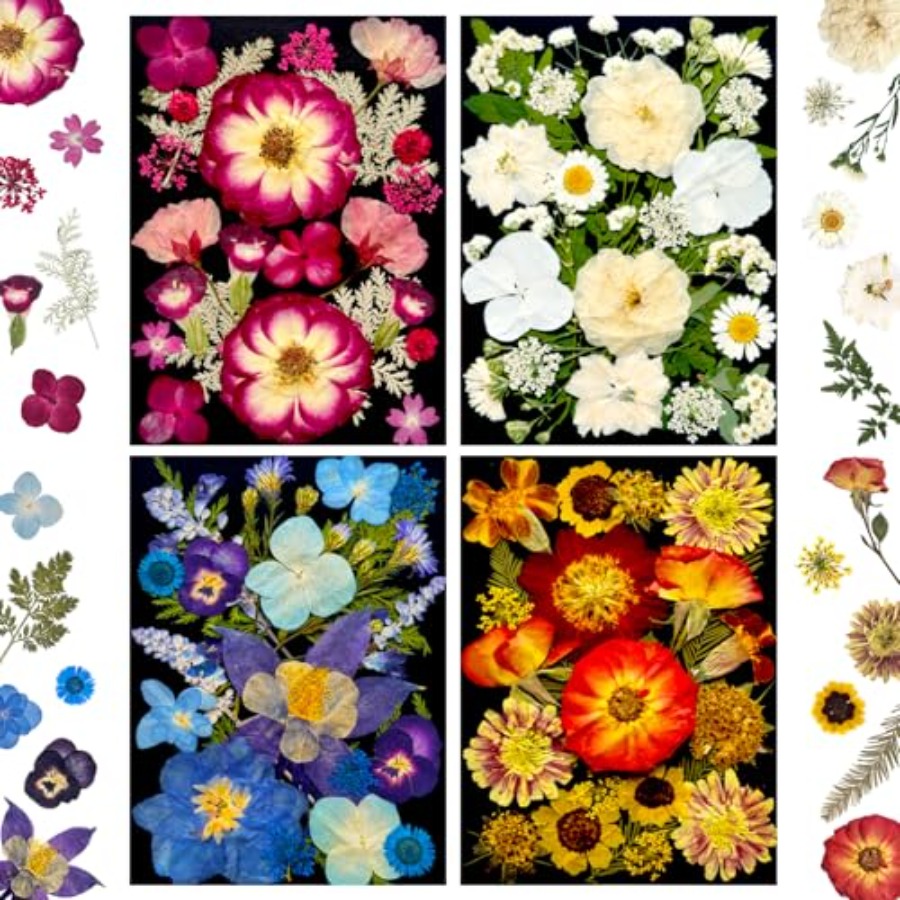 Art Craft With Leaves - Pressed Dried Flowers for Resin, Real