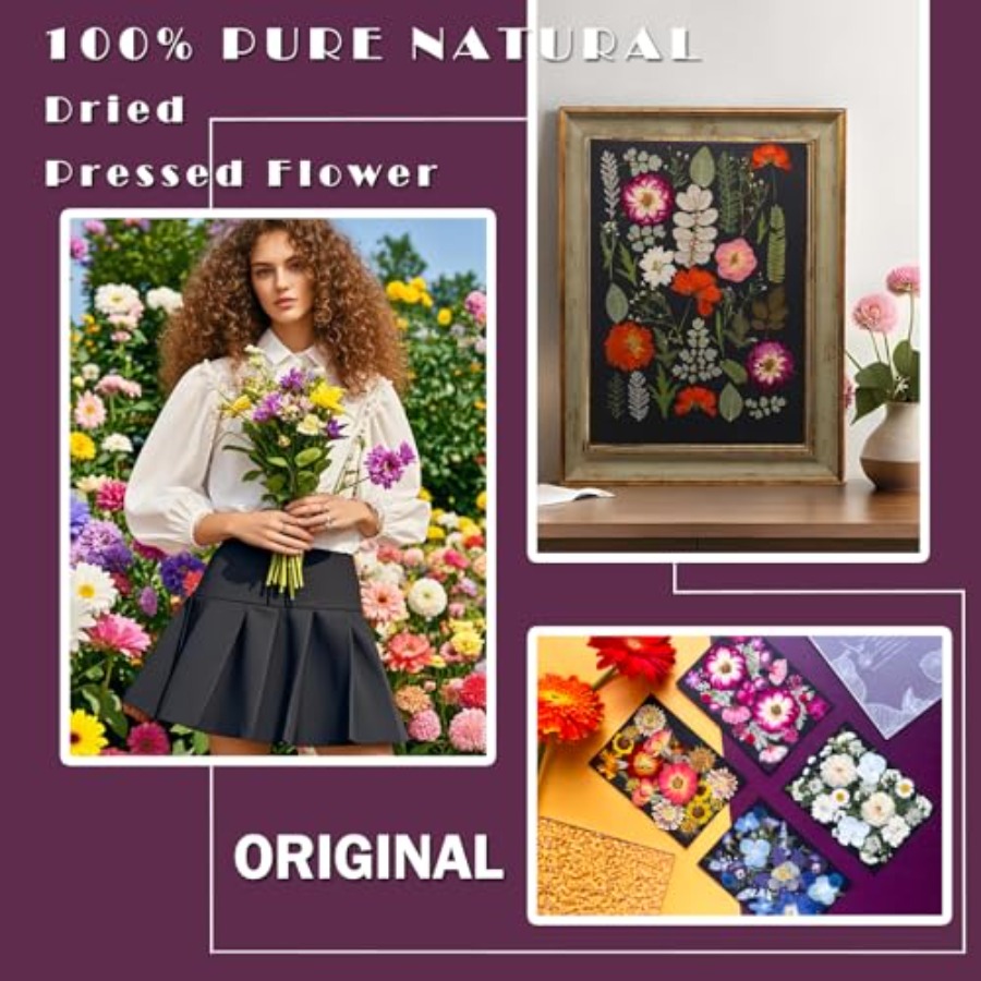 Pressed Dried Flowers for Resi - Art Craft With Leaves avis et prix