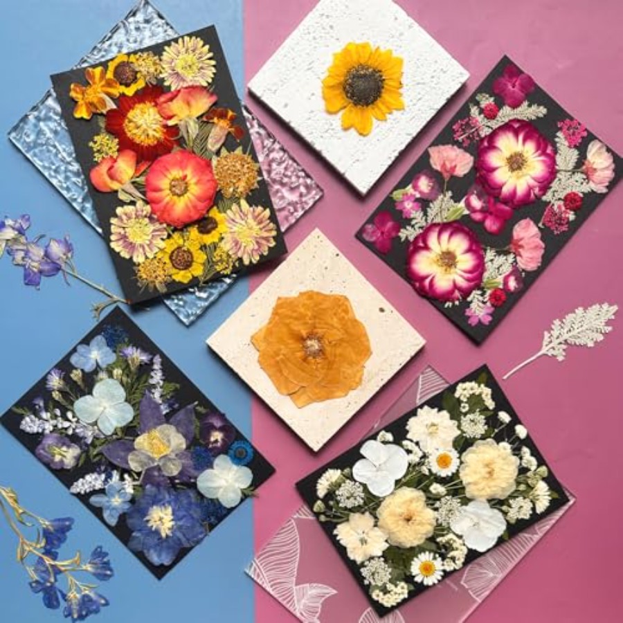 Pressed Dried Flowers for Resi - Art Craft With Leaves avis et prix