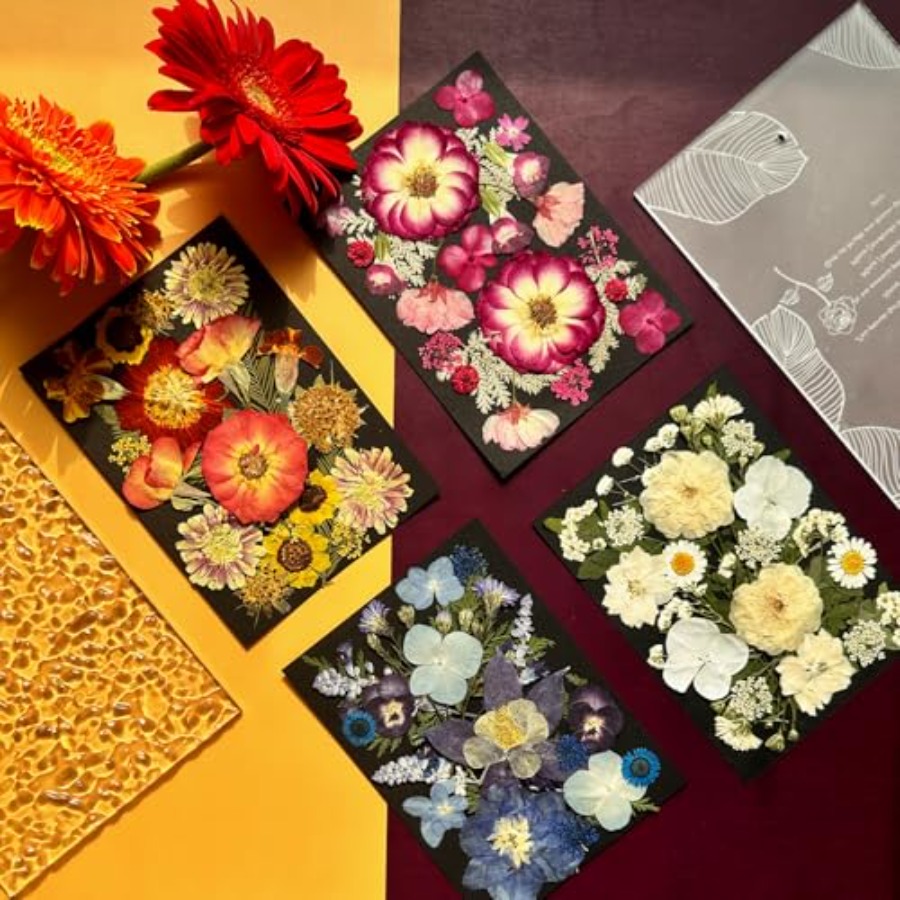 Pressed Dried Flowers for Resi - Art Craft With Leaves avis et prix