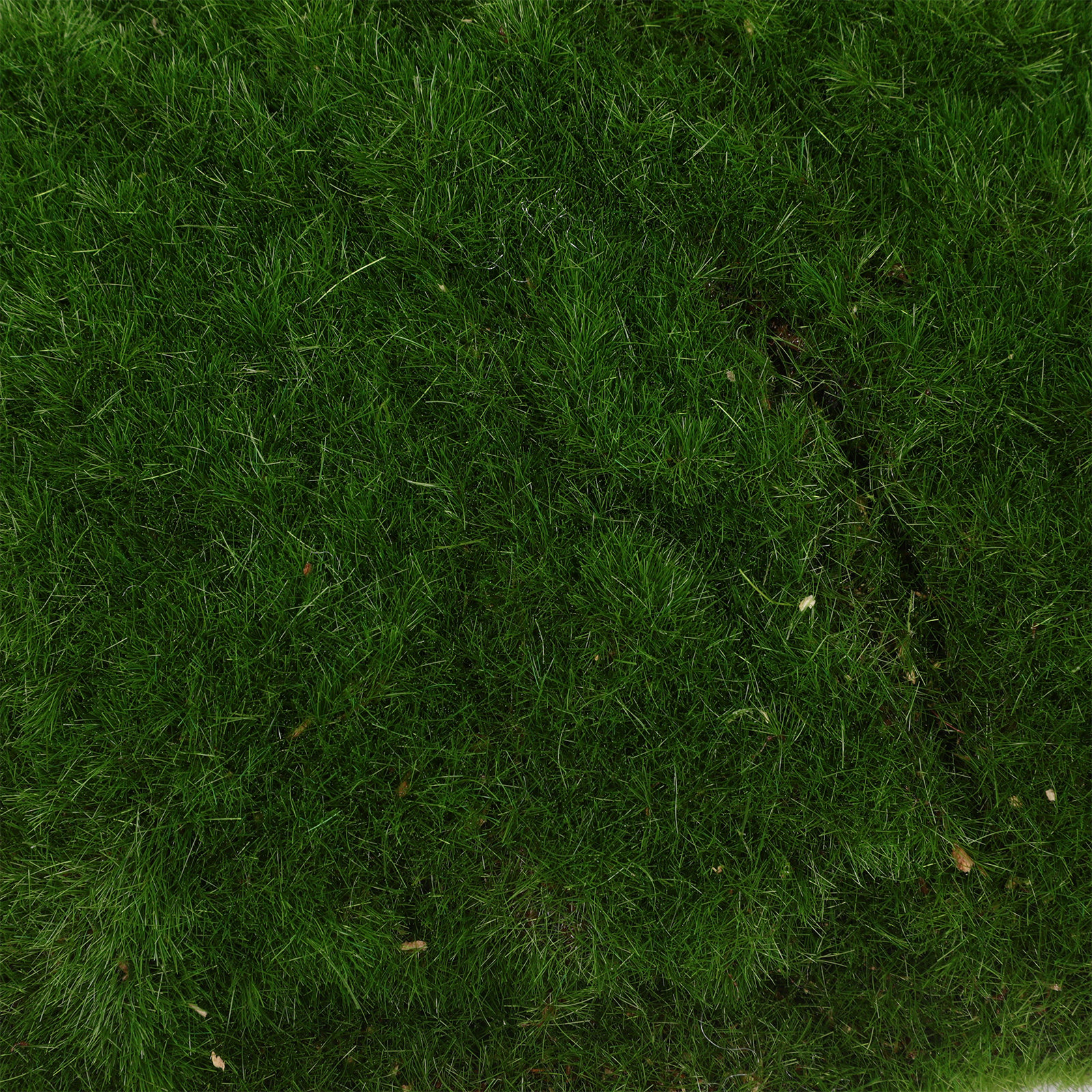 4Pcs Artificial Faux Moss Ston - Art Craft With Leaves avis et prix