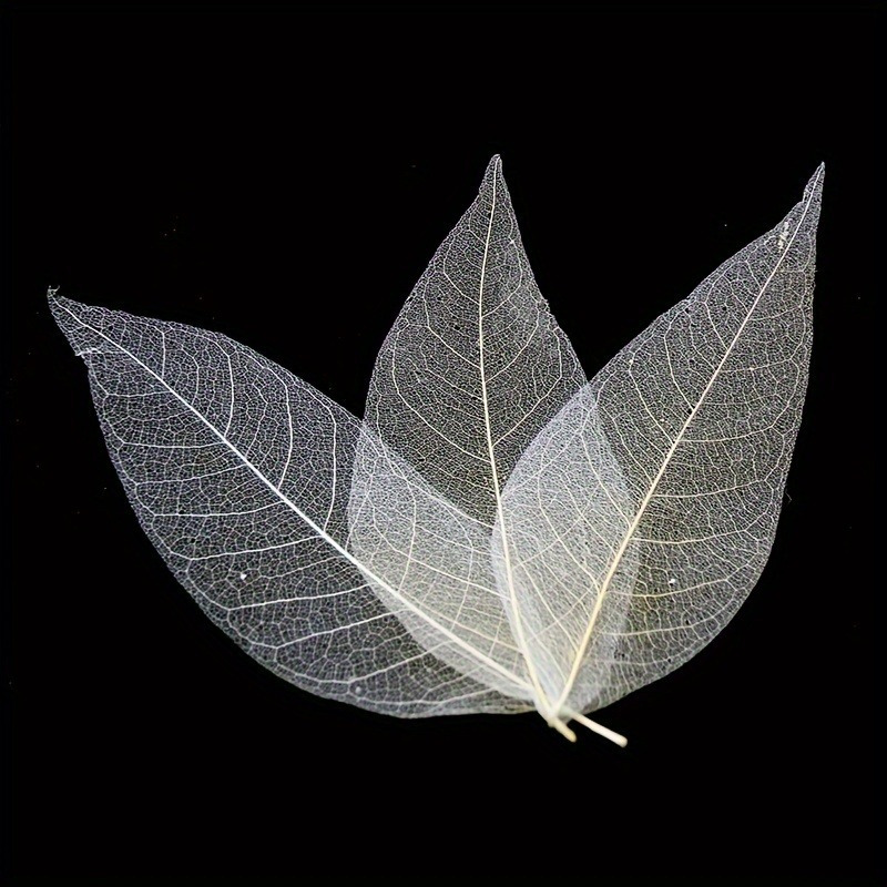 10pcs Art Deco Wooden Leaf Vei - Art Craft With Leaves avis et prix