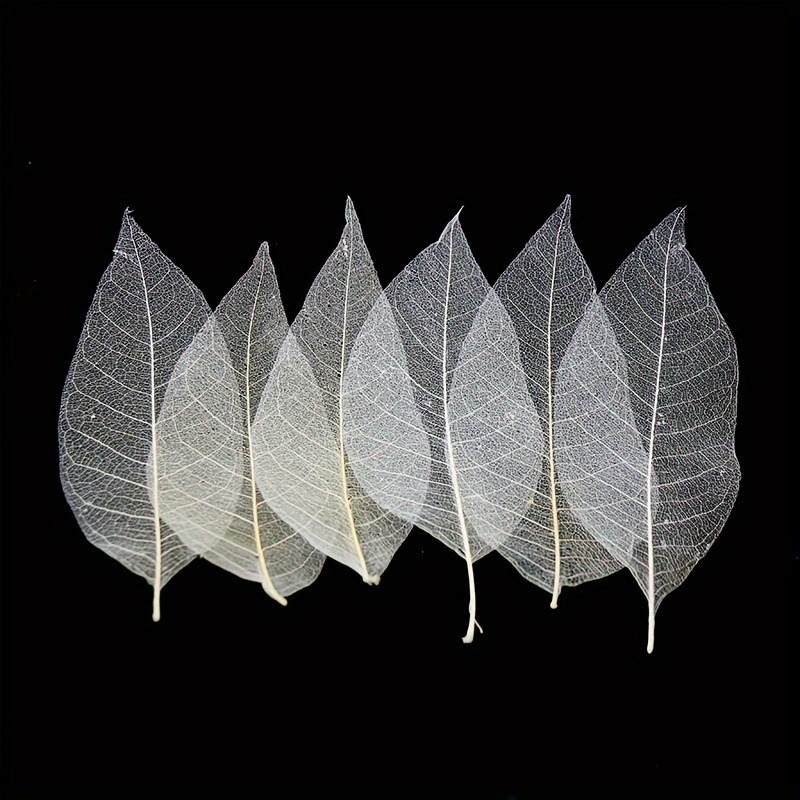 10pcs Art Deco Wooden Leaf Vei - Art Craft With Leaves avis et prix