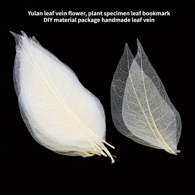 10pcs Art Deco Wooden Leaf Vei - Art Craft With Leaves avis et prix