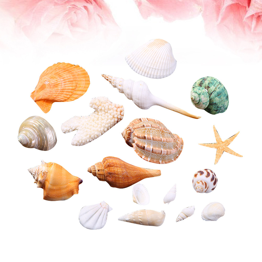 Natural Shell DIY Craft Charms - Art Craft Gallery avis et prix