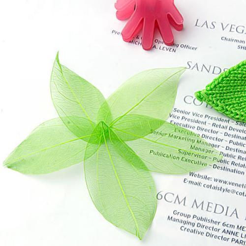 Natural Catbrier Skeleton Leav - Art Craft With Leaves avis et prix