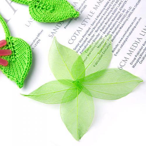 Natural Catbrier Skeleton Leav - Art Craft With Leaves avis et prix
