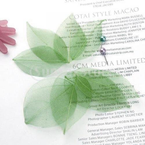Natural Catbrier Skeleton Leav - Art Craft With Leaves avis et prix