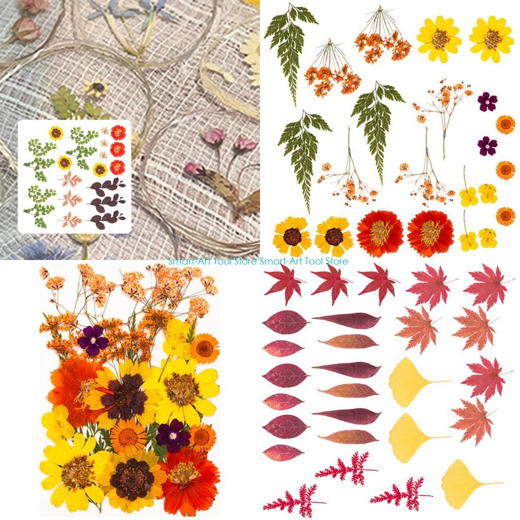 E1PB Natural Dry Flower Leaves - Art Craft With Leaves avis et prix