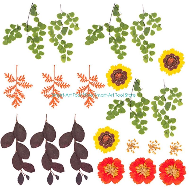 E1PB Natural Dry Flower Leaves - Art Craft With Leaves avis et prix