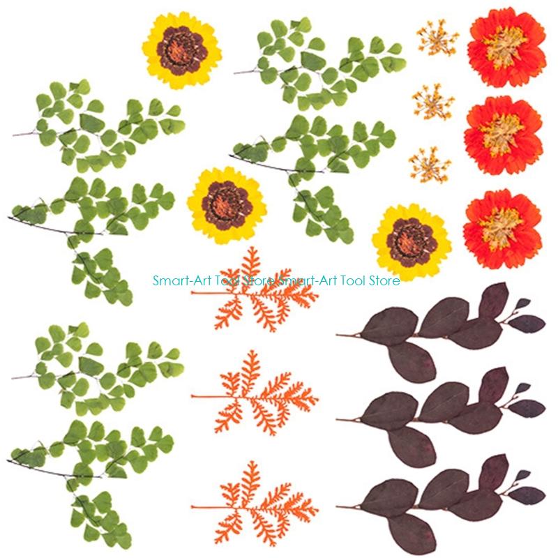 E1PB Natural Dry Flower Leaves - Art Craft With Leaves avis et prix