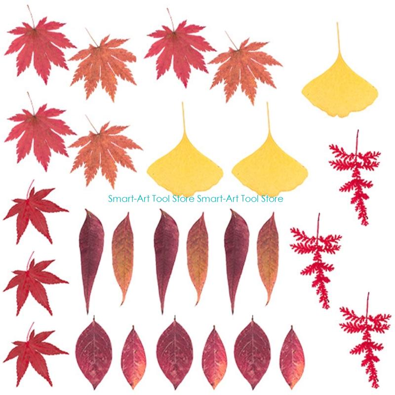 E1PB Natural Dry Flower Leaves - Art Craft With Leaves avis et prix