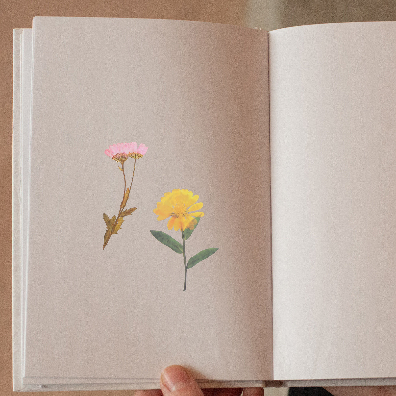 6 Packs Dried Flower Stickers  - Art Craft Journals avis et prix